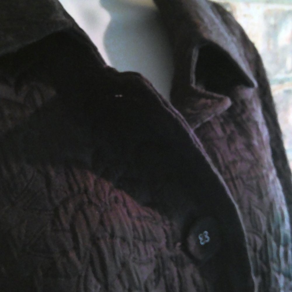 Quilted Jacket - Picture 7 of 12